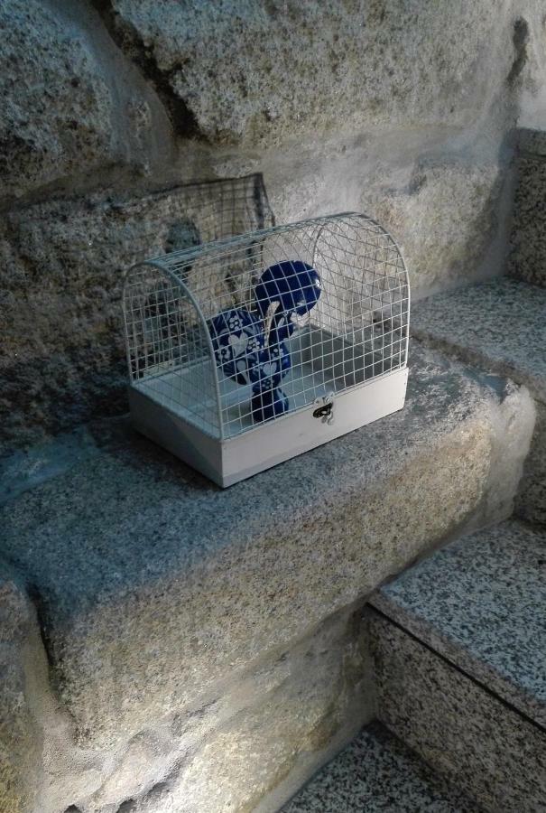 The Blue And White House Appartamento
